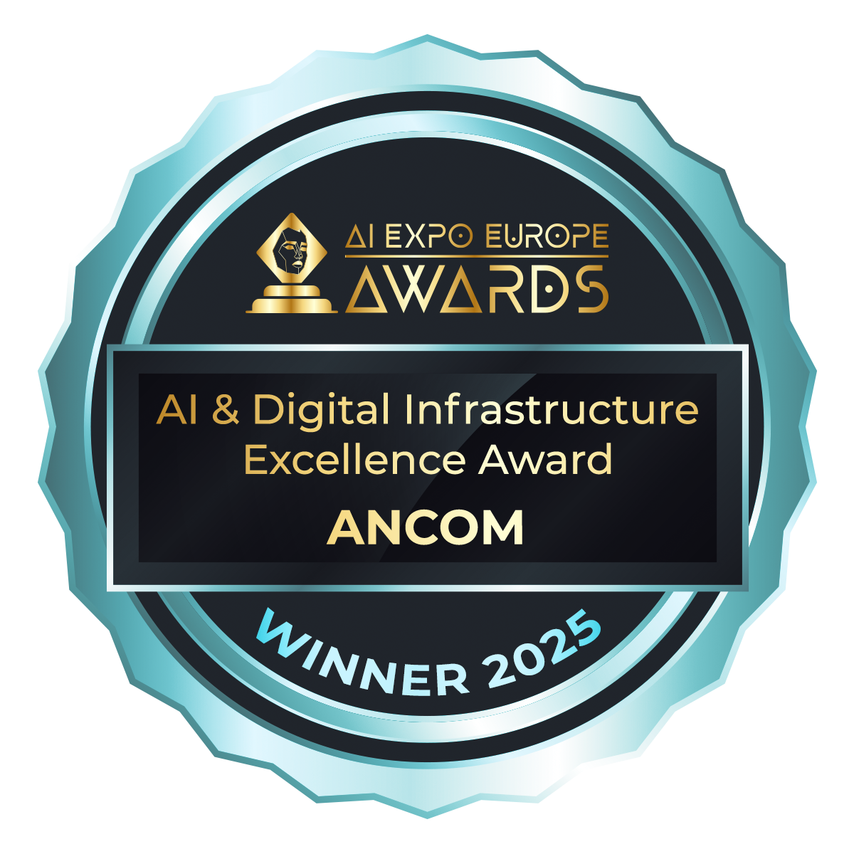 AI & Digital Infrastructure Excellence Award
